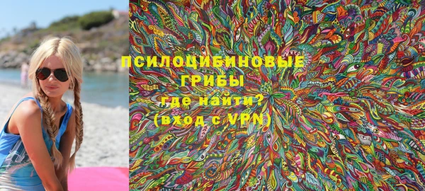 МДПВ Алексеевка