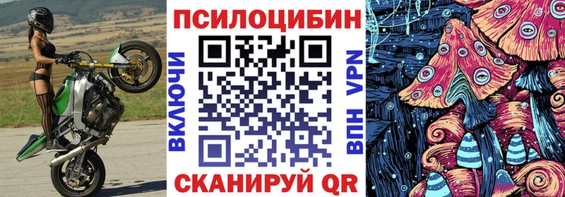 Псилоцибиновые грибы Psilocybe  Соликамск 